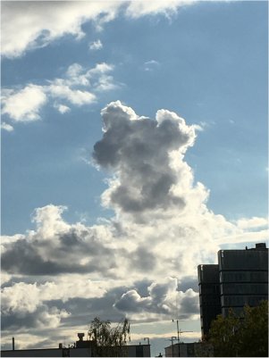[Under Falling Skies]
